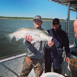 Meet your Posher, Curtis